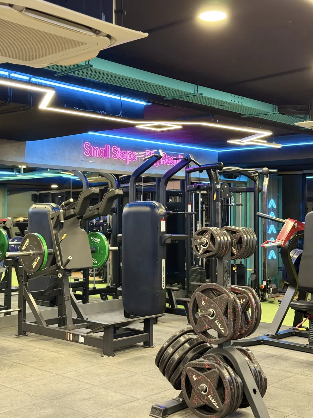 Plate-loaded machines and a plate tree on the Fisique floor
